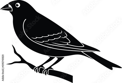 Beautiful Lark Bunting sitting forward on the branch silhouette black color vector illustration