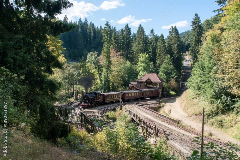 Obraz premium Steam train crosses wooden bridge in lush green forest landscape
