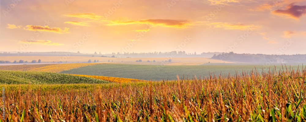 Serene agricultural landscape with fields of varying colors under a soft pastel-toned morning sky