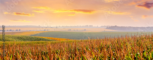 Obraz na płótnie Serene agricultural landscape with fields of varying colors under a soft pastel-toned morning sky w salonie
