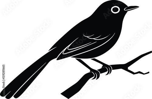  Beautiful bird opal flycatcher sitting forward on the branch silhouette black color vector illustration