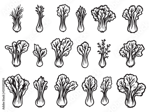 Bok choy line art