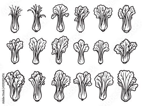 Bok choy line art