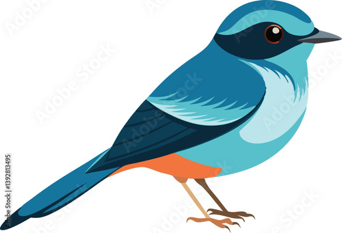 Beautiful bird opal flycatcher vector illustration 