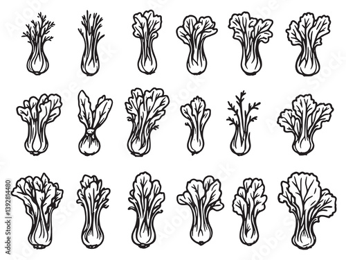 Bok choy line art