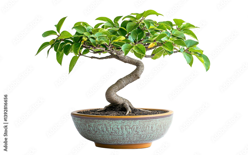 Radiant Bodhi Tree Sapling in a Decorative Pot Symbolizing Growth Isolated on transparent background. Radiant Bodhi Tree Sapling in a Decorative Pot Symbolizing Growth Isolated on transparent background.