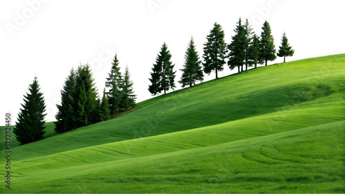 Lush green hillside with evergreen trees against a transparent background in a scenic landscape view