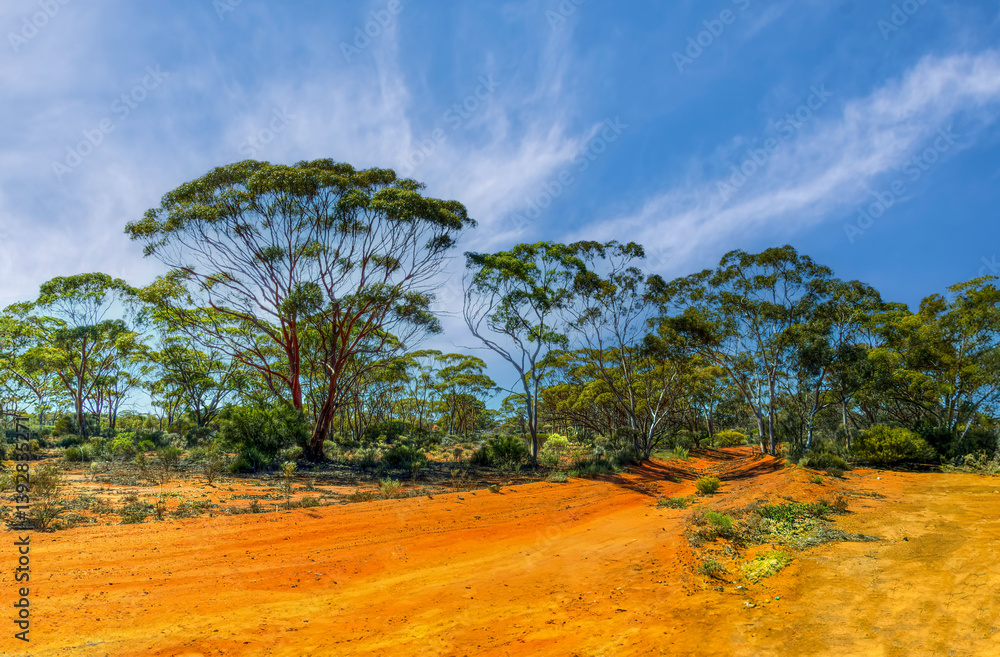 Kalgoorlie is in the Goldfields region of Western Australia