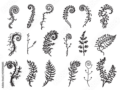 Fiddlehead fern line art