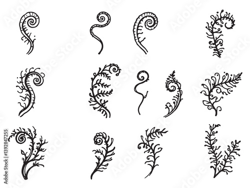Fiddlehead fern line art