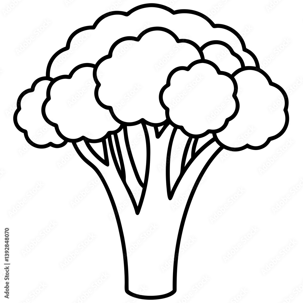 Linear Broccolini Minimal Vector Illustration Linear Broccolini Minimal Vector Illustration