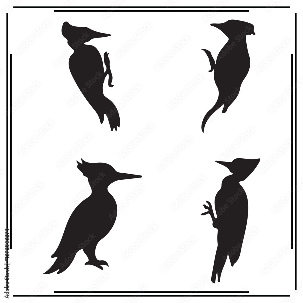 Naklejka premium Woodpecker silhouette, Woodpecker illustration ,Woodpecker clipart, Woodpecker vector , Woodpecker icon , black Woodpecker, Woodpecker illustration on white background,
