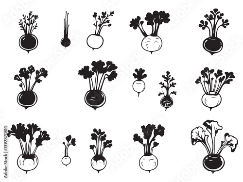 Kohlrabi line art