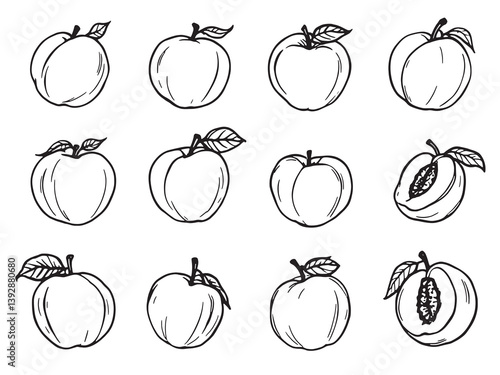 Nectarine line art