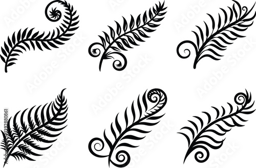 fern leaf swirl silhouette set
