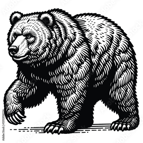 vector illustration of brown bear