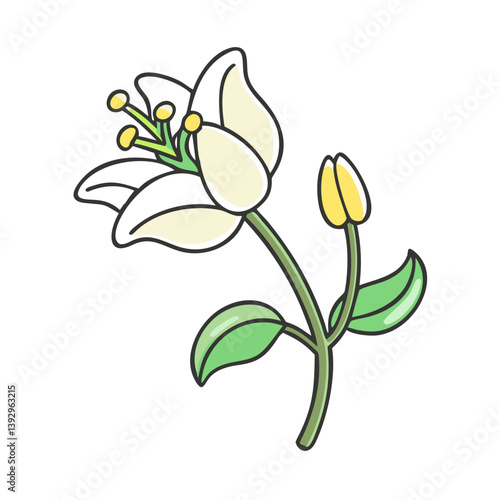 anemopsis yerba mansa flower icon, anemopsis yerba mansa flower vector illustration-simple illustration of anemopsis yerba mansa flower, perfect for anemopsis yerba mansa flower logos and icons