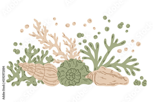 Underwater sea plants. Marine flora. Tropical water alga, seaweed, leaf grass coral shell. Exotic organic natural decoration for aquarium. Flat vector illustration isolated on white background.