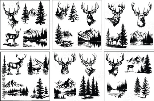 Deer Elk Bull Wapiti Large Antlers Wildlife