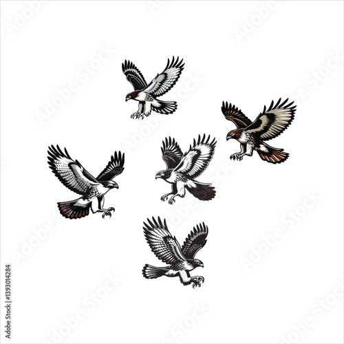 Red-tailed Hawk in Flight Silhouette – Majestic Bird of Prey Gliding Through the Sky