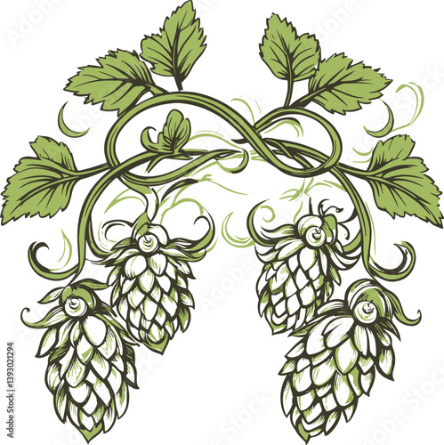 Hops ornament vector illustration