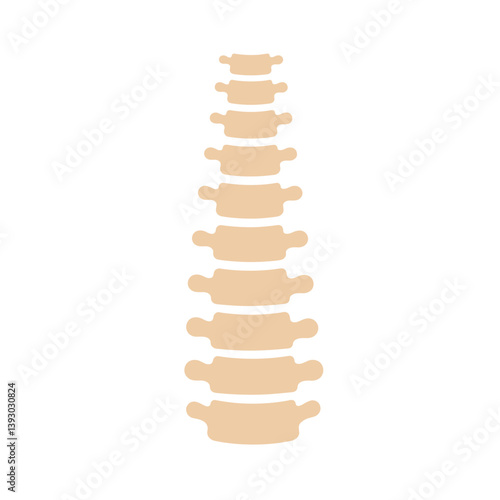 Spinal Alignment: A graphic illustration of the human spine, depicting its intricate structure and the vital role it plays in overall well-being.