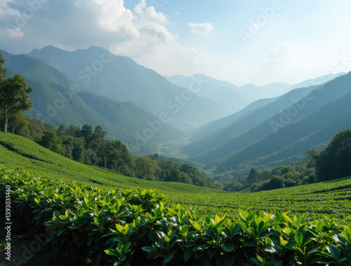Obraz na płótnie breathtaking landscape features rolling green tea and coffee plantations in the foreground w salonie