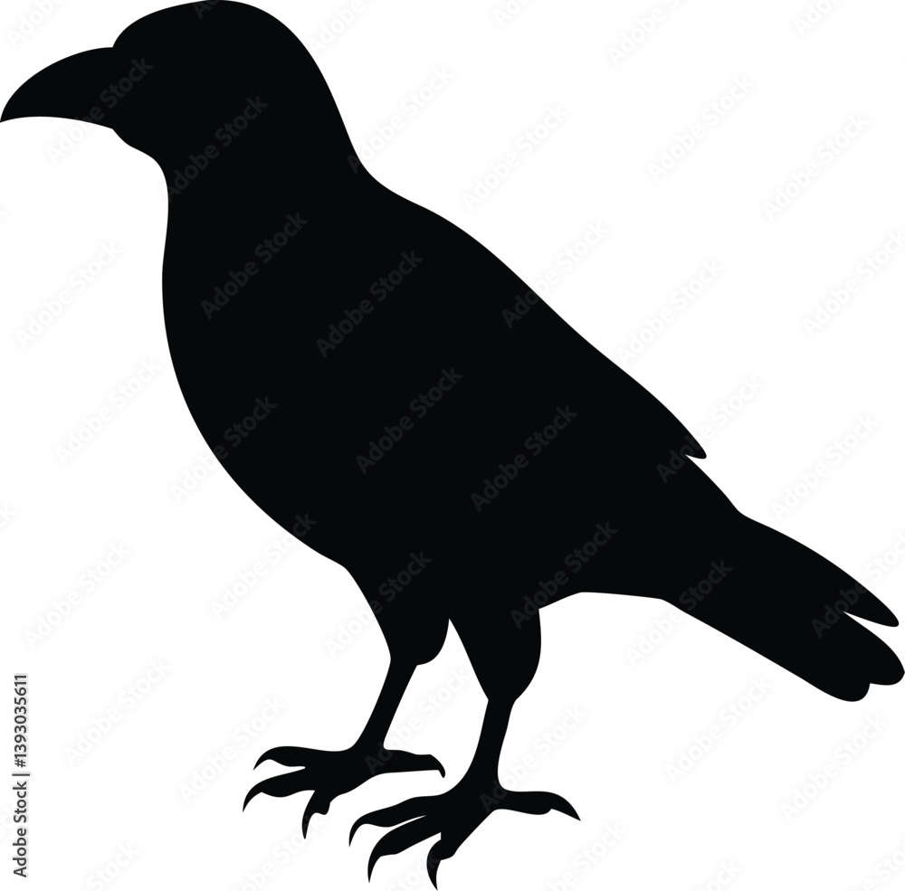 Fototapeta premium Crow bird silhouette with white background