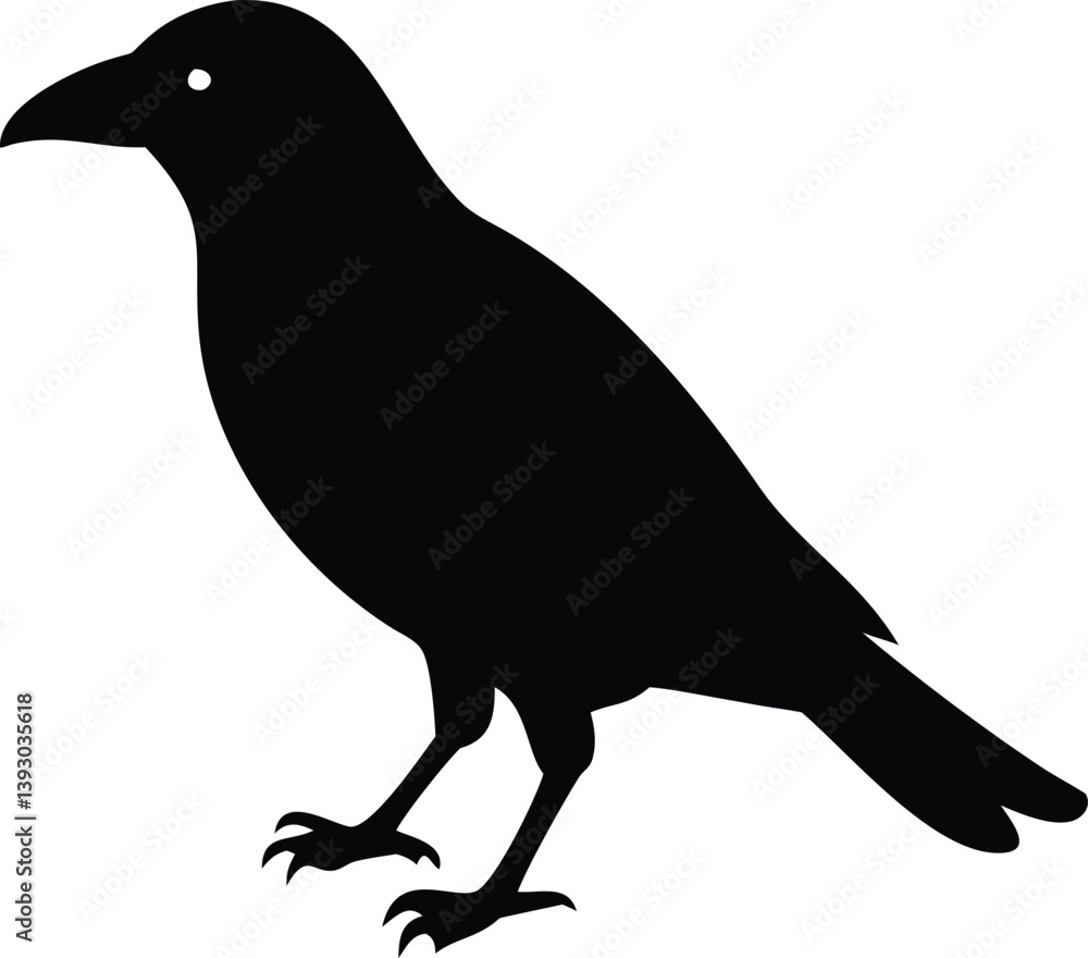 Fototapeta premium Crow bird silhouette with white background