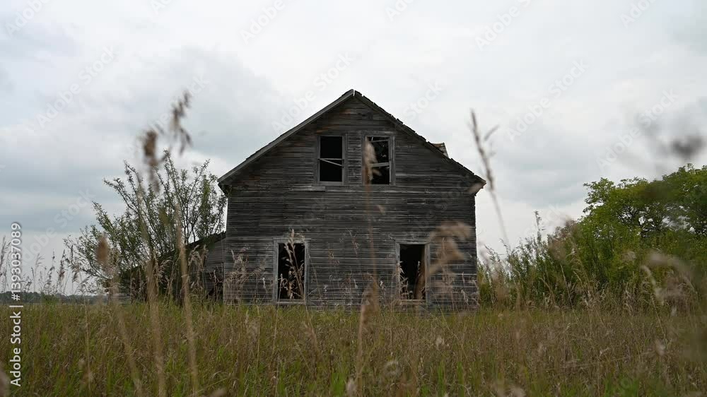 Looking through dry grass at an abandoned wooden farmhouse as grass moves in the wind
Looking through dry grass at an abandoned wooden farmhouse as grass moves in the wind