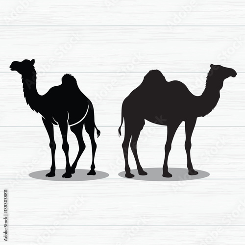 Silhouette of Dromedary and Bactrian Camels - One Hump and Two Hump Camel Illustration vector icon art