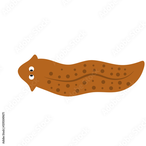 Planarian flatworms illustration