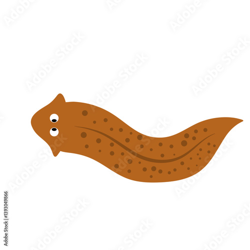 Planarian flatworms illustration
