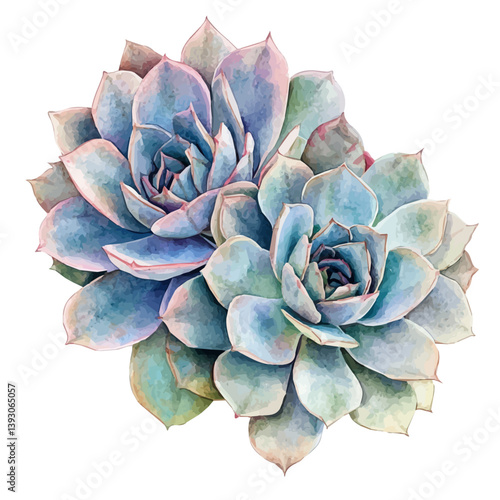 watercolor vector of RAsti A Beautifully Detailed, isolated on a white background.