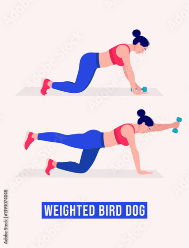 Weighted Bird Dog exercise, Woman workout fitness, aerobic and exercises