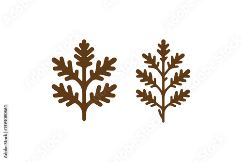 simple Oak leaf silhouette icon vector isolated in white background