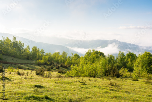 Obraz na płótnie scenic view of nature in fog and clouds. sunny morning. deciduous forest on the hills in spring. rural valley in the distance. carpathian alpine climate w salonie