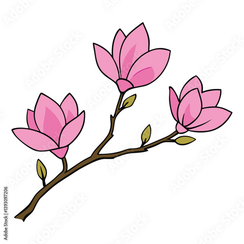 Pink spring magnolia flowers branch vector