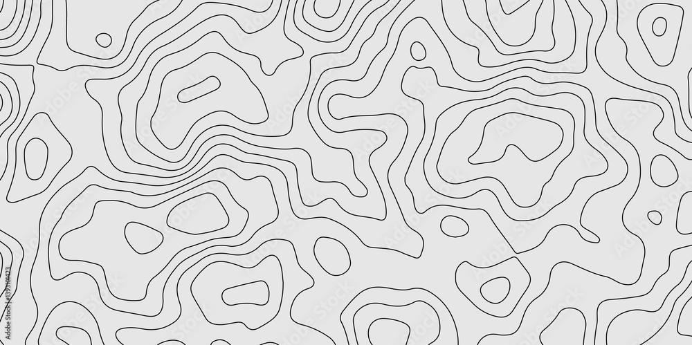 topographic background and texture. topographic line contour map background, Topographic map and landscape terrain texture grid. monochrome image. 3D waves. topographic background and texture. topographic line contour map background, Topographic map and landscape terrain texture grid. monochrome image. 3D waves.