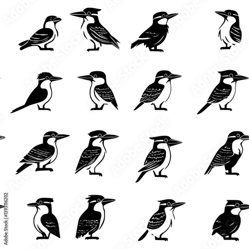 Collection of Kookaburras pattern vector designs, Kookaburras seamless pattern