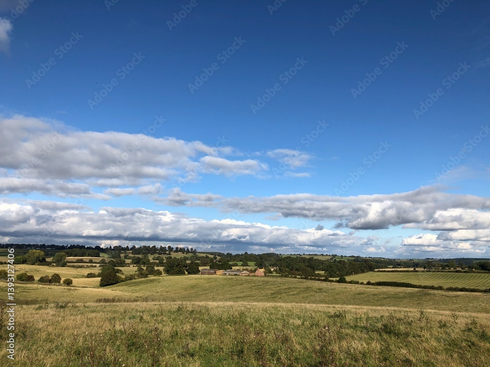 Fototapeta premium Fields 