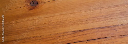 Detailed macro texture background of natural wood grain