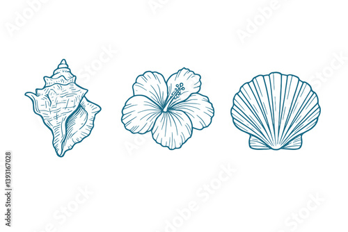 Tropical sketch icons of seashells and hibiscus flower, vector