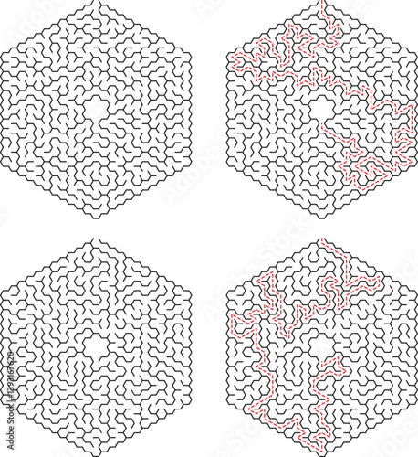 Complex Hexagonal Maze Set With Solutions In Two Of The Four Instances