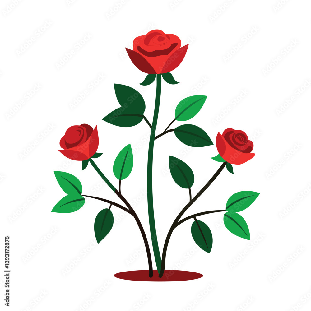 Fototapeta premium a vector illustration of a rose plant with rose on a white background