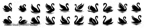 collection of beautiful Swan silhouettes on a white background