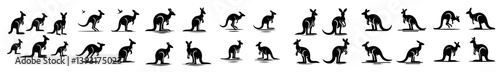 beautiful collection of Kangaroo silhouettes on white background