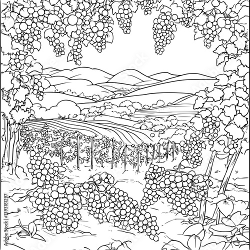 Vineyard coloring book vector design, Vineyard vector graphic