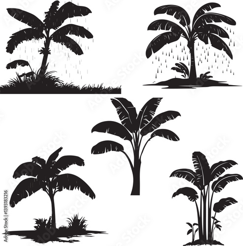 Banana Tree in heavy Rain Leaves silhouette