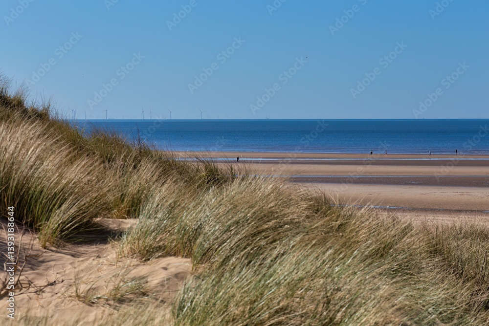 path to the beach with dunes and grass in Formby - Merseyside - United Kingdom path to the beach with dunes and grass in Formby - Merseyside - United Kingdom